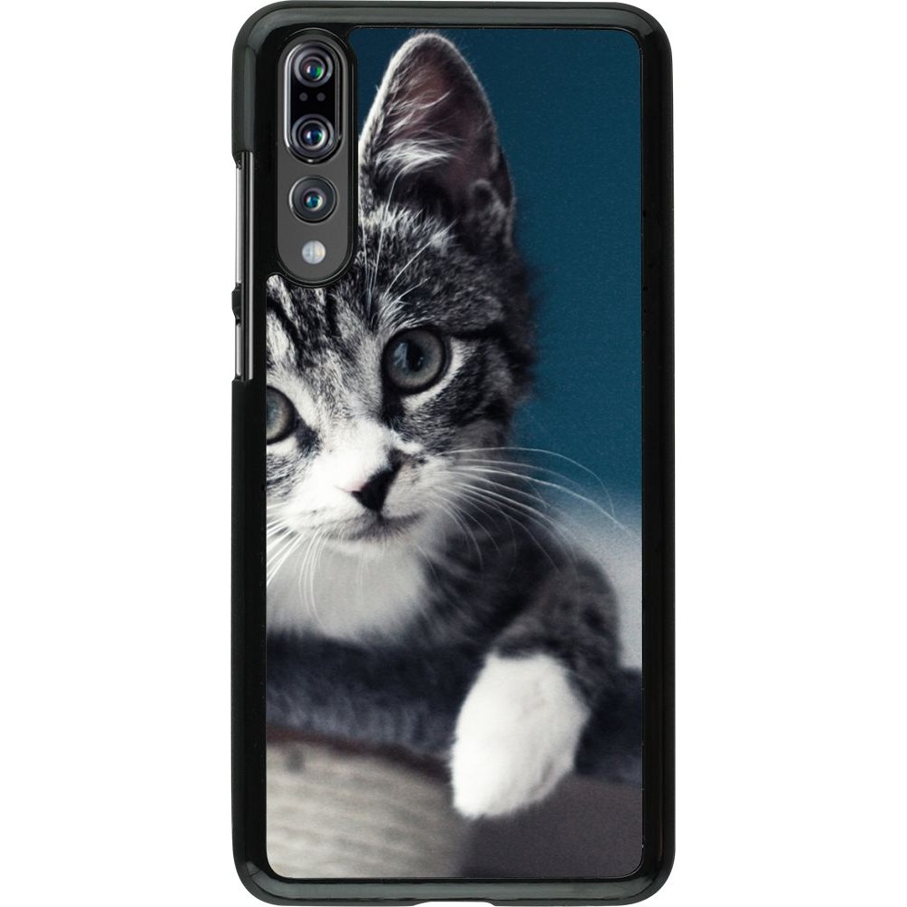 Hülle Huawei P20 Pro - Meow 23