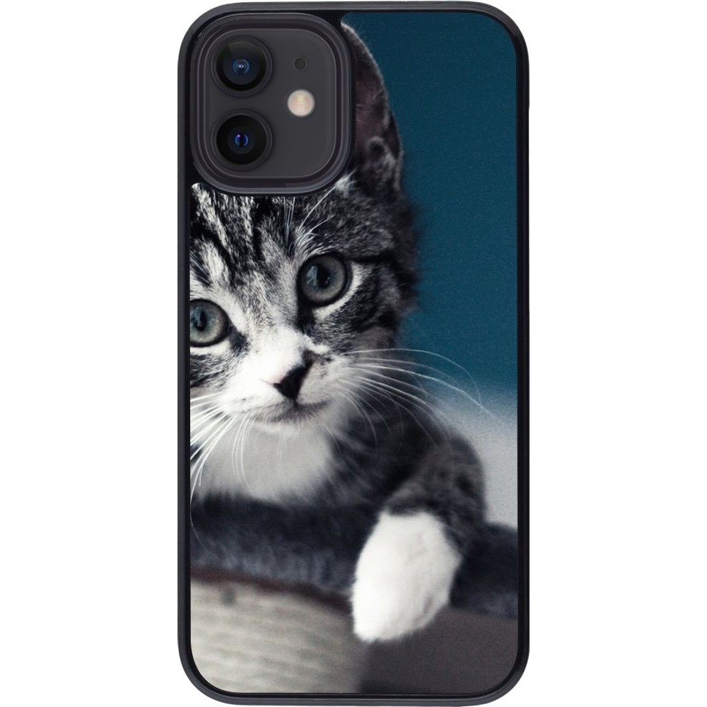 Hülle iPhone 12 mini - Meow 23