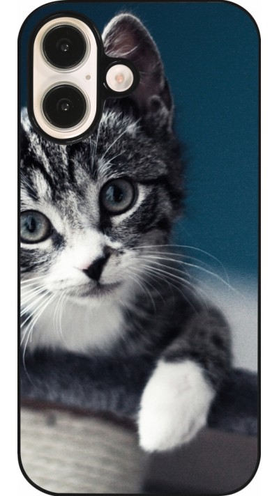 iPhone 16 Case Hülle - Meow 23