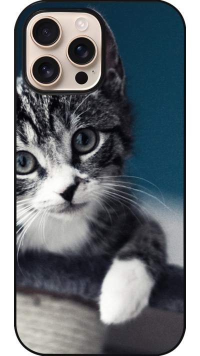 iPhone 16 Pro Max Case Hülle - Meow 23