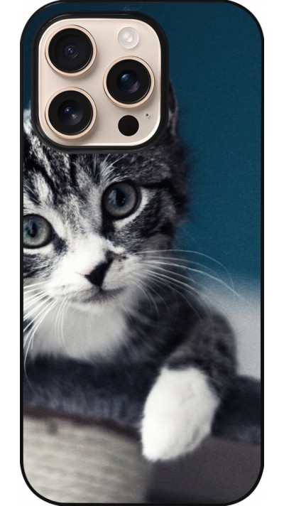 iPhone 16 Pro Case Hülle - Meow 23