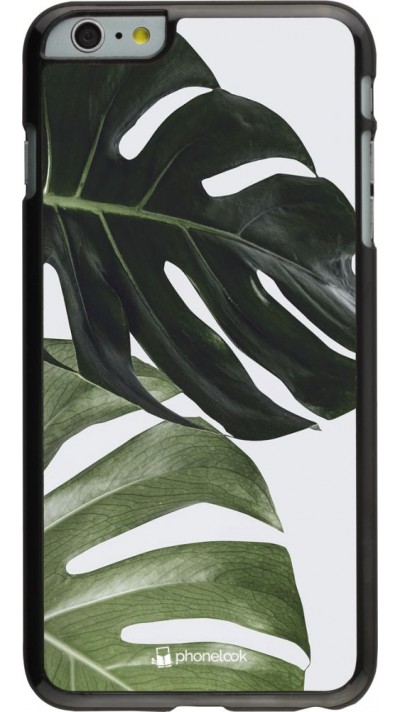 Hülle iPhone 6 Plus / 6s Plus - Monstera Plant