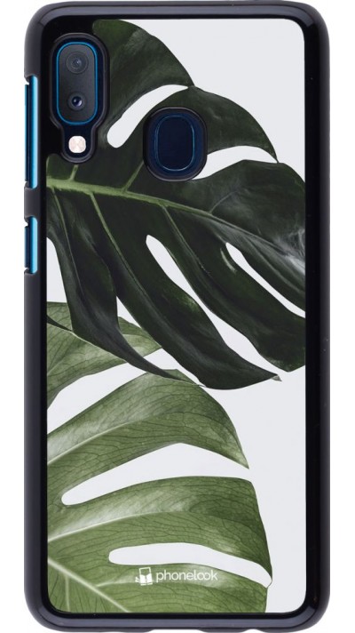 Hülle Samsung Galaxy A20e - Monstera Plant