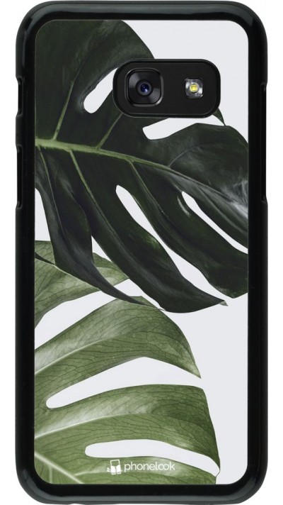 Hülle Samsung Galaxy A3 (2017) - Monstera Plant