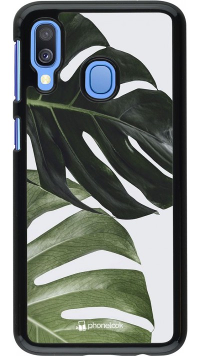 Hülle Samsung Galaxy A40 - Monstera Plant