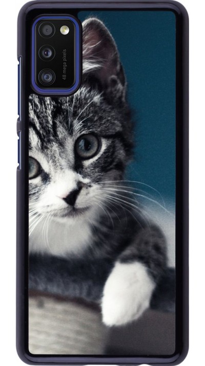 Hülle Samsung Galaxy A41 - Meow 23