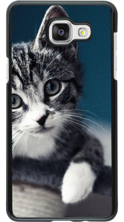 Hülle Samsung Galaxy A5 (2016) - Meow 23