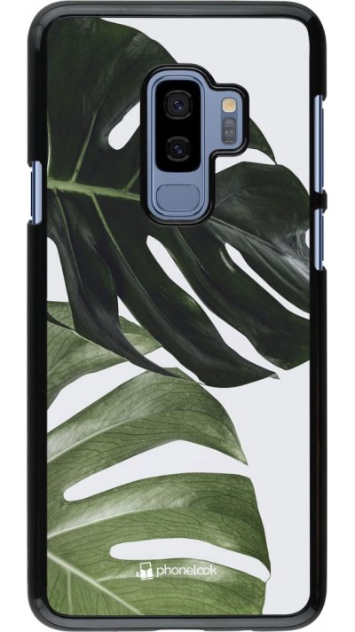 Hülle Samsung Galaxy S9+ - Monstera Plant