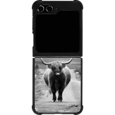 Samsung Galaxy Z Flip5 Case Hülle - Silikon schwarz Highland cattle